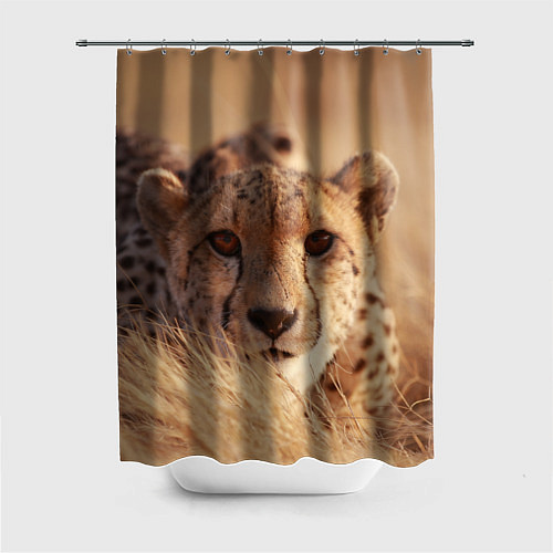 Шторка для ванной Гепард в траве / 3D-принт – фото 1