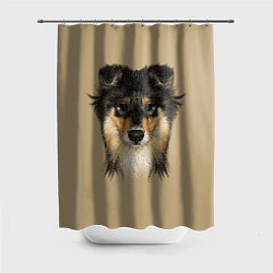 Шторка для ванной Rouge Collie