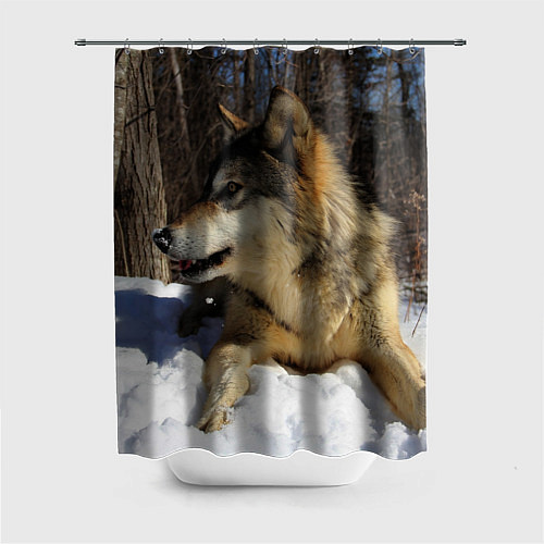 Шторка для ванной Волк лежит на снегу / 3D-принт – фото 1