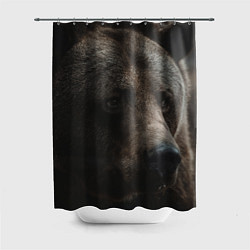 Шторка для ванной Медведь