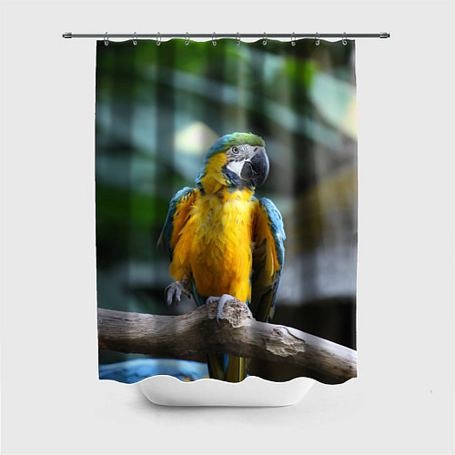 Шторка для ванной Красавец попугай / 3D-принт – фото 1