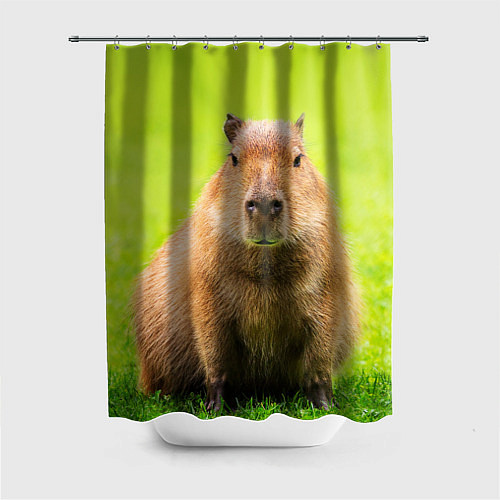 Шторка для ванной Capybara on green grass / 3D-принт – фото 1