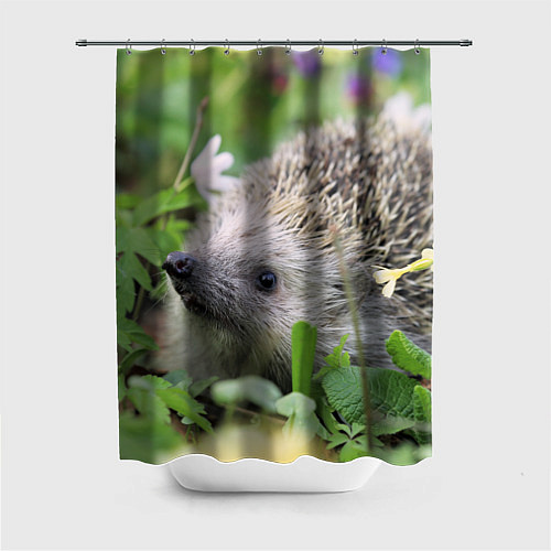 Шторка для ванной Лесной ёжик в траве / 3D-принт – фото 1