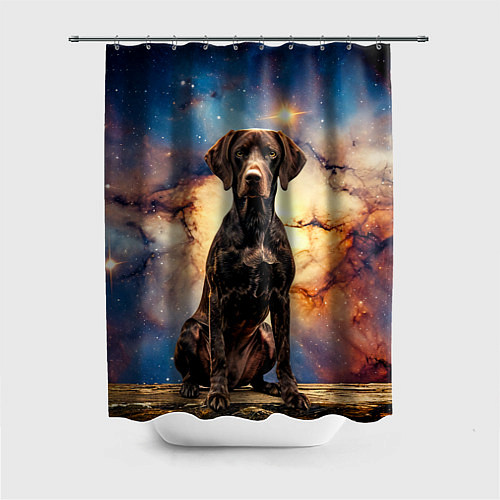 Шторка для ванной Курцхаар и космос / 3D-принт – фото 1