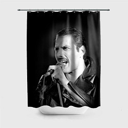 Шторка для ванной Фредди Меркьюри