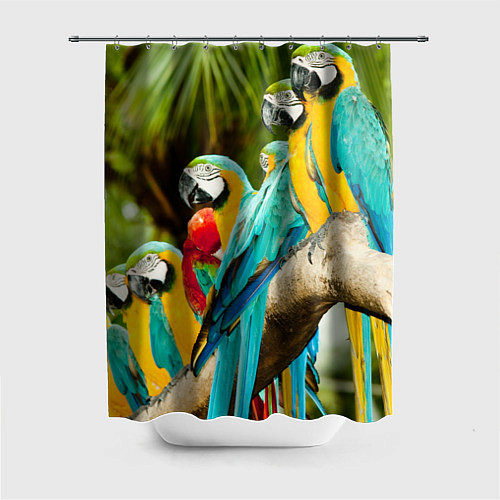 Шторка для ванной Попугаи на ветке / 3D-принт – фото 1