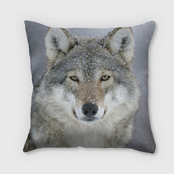 Подушка квадратная Милый волк, цвет: 3D-принт