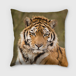 Подушка квадратная Милый тигр