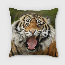 Подушка квадратная Удивленный тигр