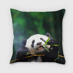 Подушка квадратная Панда на ветке, цвет: 3D-принт