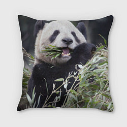 Подушка квадратная Панда кушает, цвет: 3D-принт