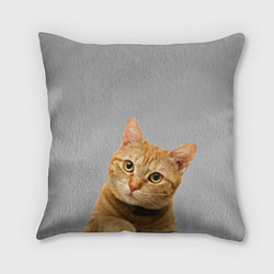 Подушка квадратная Рыжий котик