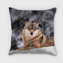 Подушка квадратная Wolf Волк, цвет: 3D-принт