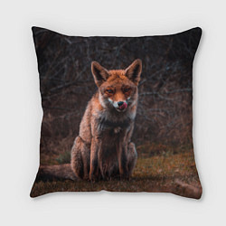 Подушка квадратная Хищная лисица