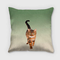 Подушка квадратная Короткошерстный кот идет, цвет: 3D-принт