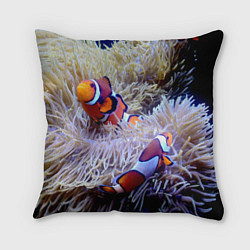 Подушка квадратная Клоуны в актинии, цвет: 3D-принт