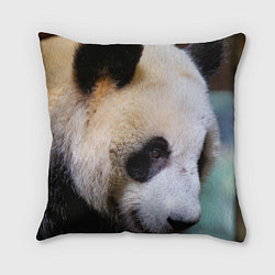 Подушка квадратная Загадочная панда, цвет: 3D-принт