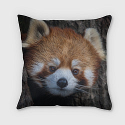 Подушка квадратная Крaсная панда, цвет: 3D-принт
