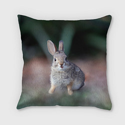 Подушка квадратная Малыш кролик, цвет: 3D-принт