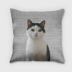 Подушка квадратная Задумчивый котик, цвет: 3D-принт