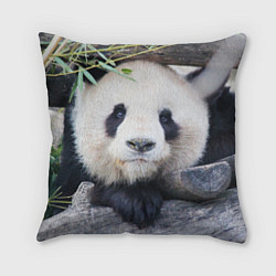 Подушка квадратная Панда отдыхает