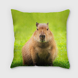 Подушка квадратная Capybara on green grass