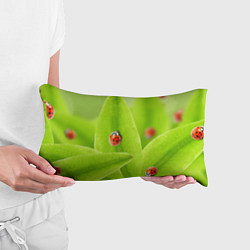 Подушка-антистресс Жучки на травке, цвет: 3D-принт — фото 2