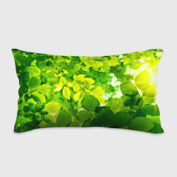 Подушка-антистресс Зелёные листья, цвет: 3D-принт
