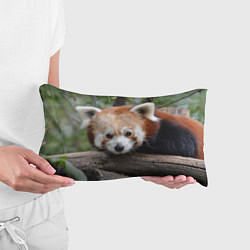 Подушка-антистресс Красная панда, цвет: 3D-принт — фото 2