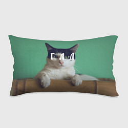 Подушка-антистресс Мем с котом - голод, цвет: 3D-принт