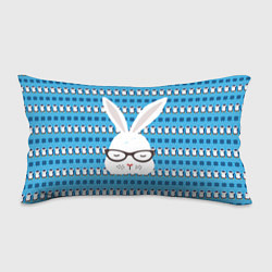 Подушка-антистресс Мудрый кролик в очках, цвет: 3D-принт