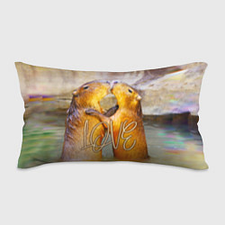 Подушка-антистресс Влюблённые капибары, цвет: 3D-принт