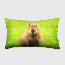Подушка-антистресс Capybara on green grass, цвет: 3D-принт