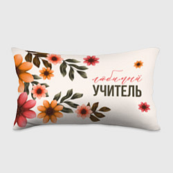 Подушка-антистресс Наш любимый учитель, цвет: 3D-принт