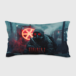 Подушка-антистресс Stalker 2 зараженная зона, цвет: 3D-принт