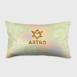 Подушка-антистресс Логотип Astro цветочный