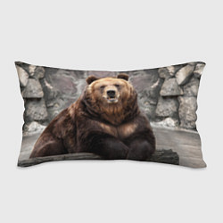 Подушка-антистресс Русский медведь, цвет: 3D-принт