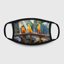 Маска для лица Экзотические попугаи, цвет: 3D-принт — фото 2