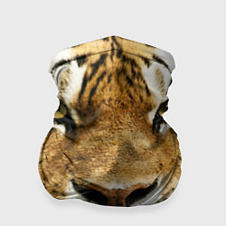 Бандана-труба Амурский тигр, цвет: 3D-принт
