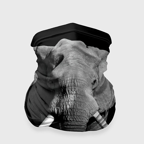 Бандана Старый слон / 3D-принт – фото 1
