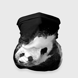 Бандана-труба Молочная панда, цвет: 3D-принт