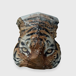 Бандана-труба Тигр в снегу, цвет: 3D-принт