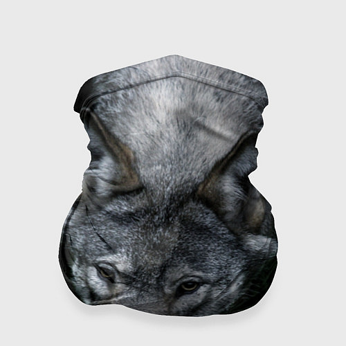 Бандана Волк в траве / 3D-принт – фото 1