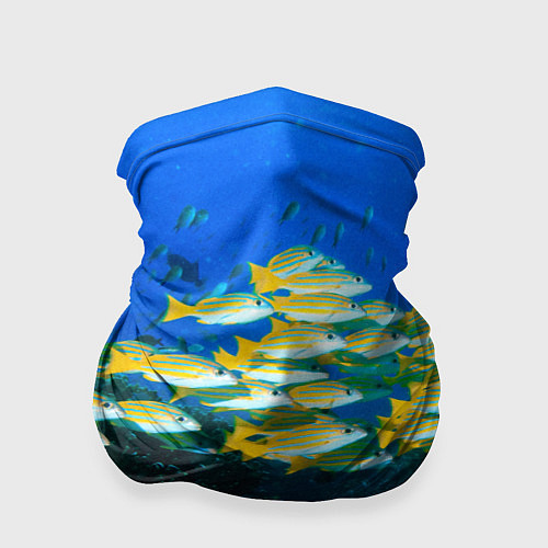 Бандана Коралловые рыбки / 3D-принт – фото 1