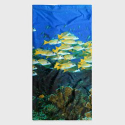 Бандана-труба Коралловые рыбки, цвет: 3D-принт — фото 2