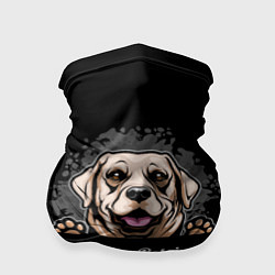 Бандана-труба Лабрадор-Ретривер Labrador Retriever, цвет: 3D-принт