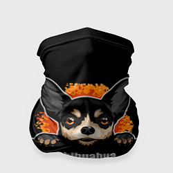 Бандана-труба Чихуахуа Chihuahua, цвет: 3D-принт