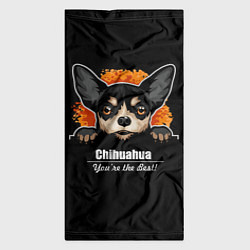 Бандана-труба Чихуахуа Chihuahua, цвет: 3D-принт — фото 2