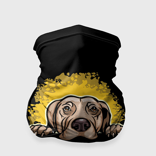 Бандана Веймаранер Weimaraner / 3D-принт – фото 1