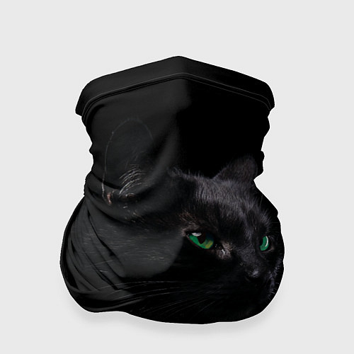 Бандана Черна кошка с изумрудными глазами / 3D-принт – фото 1
